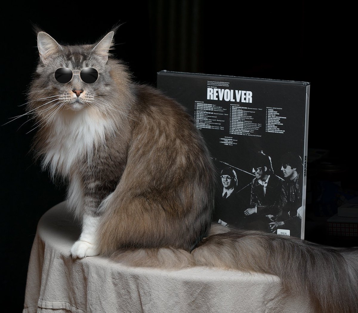 Robert Hakalski tweet media