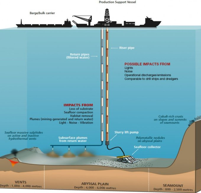ECOWARRIORSS's tweet photo. In Deep sea ocean
Benthic bacteria sequester 200 million tons of carbon dioxide into the biomass on an annual basis 
Deep sea mining will disturb this crucial carbon sink and fuel even more warming and extreme #climate change
destroying entire eco systems  https://t.co/1mSIzCJzOi https://t.co/9WMNJEcIso