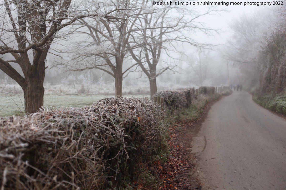 Sunday walks.... along the lane #frosty #hoarfrost #winterweather #decemberdays