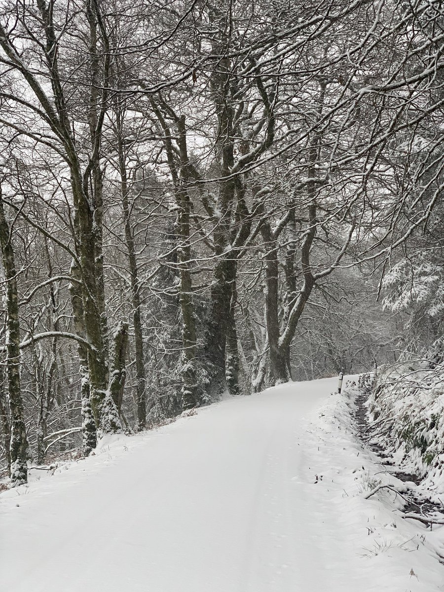 This morning #snow #perthshire