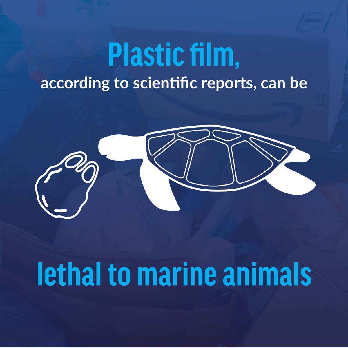 oceana's tweet photo. TAKE ACTION: @Amazon’s plastic pollution can be DEADLY to marine life. Our oceans deserve better than to be flooded with @Amazon’s plastic packaging waste. Tell @Amazon they must address their plastic problem: https://t.co/Q7FxfZO3J4 #PlasticFreeAmazon https://t.co/PFk9uwfWch