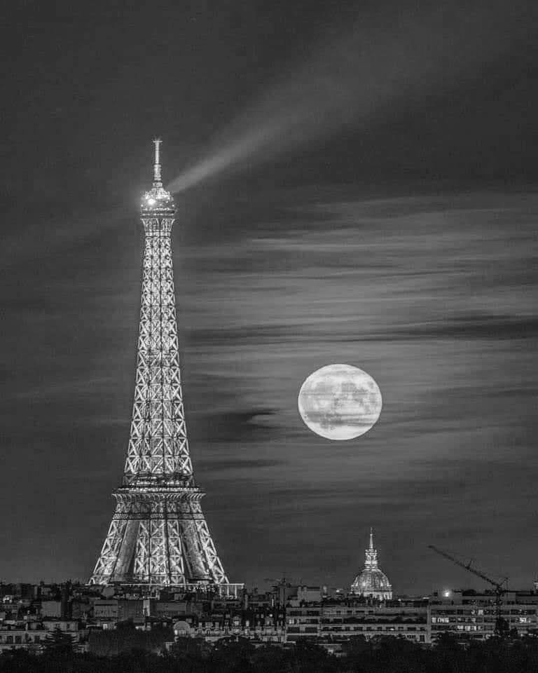 ruben_corella's tweet photo. #fullmoon #lunallena #nuit #paris #parislanuit #notte #noite #noche #parisbynight #nightlovers #cite #Nemequitepas #belledenuit #villelumiere #nighttime #avecletemps #Belle #doucenuit #lovers #pic #nightpic #blackandwhitephotography #torreeiffel #TourEiffel #reves #eiffeltower https://t.co/vVnRi2FOHb