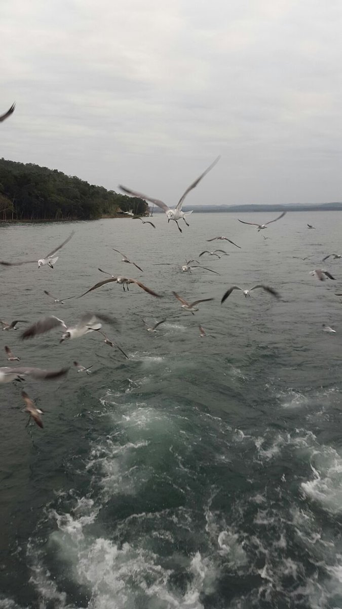 RMalango2021's tweet image. Preserving indigenous heritage &amp;amp; pursuing sustainable development was at the center of ⁦@UN⁩ work in #Guatemala &amp;amp; d struggle 2 end poverty violence disasters food insecurity ⁦@SDGoals⁩ = learning platform #partnerships4goals #Mayanarchitecture