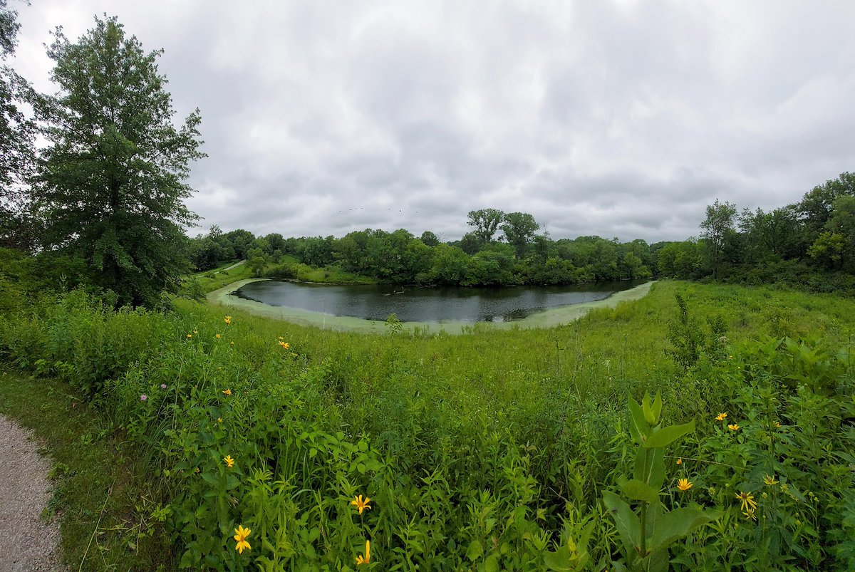 EverydayParks's tweet photo. Kent Park
Iowa County, Iowa
4.6/5 stars (626 ratings)
#IowaCounty #Iowa https://t.co/Ldrtt65dCp