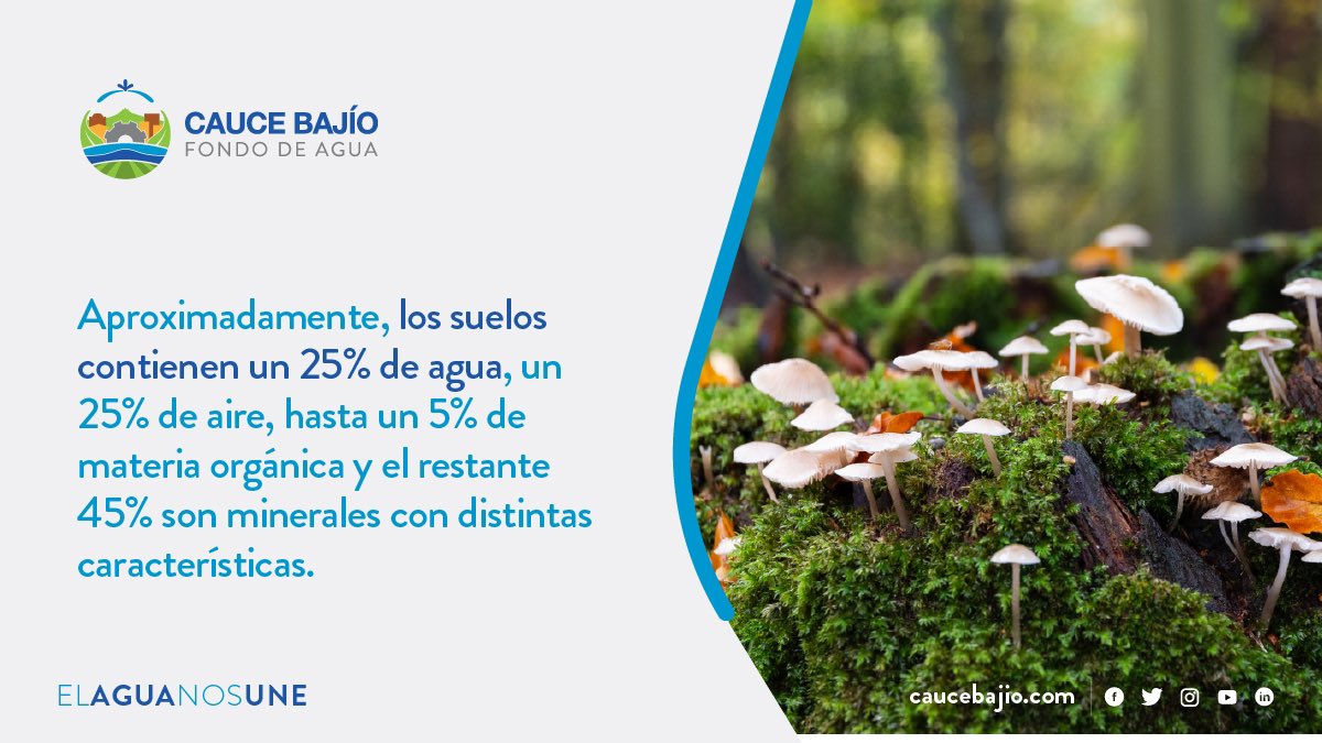 Es importante conocer como se conforman nuestros suelos para lograr un uso óptimo de ellos. Desde Cauce Bajío trabajamos con aliados para optimizar los suelos agrícolas guanajuatenses a través de la ciencia y la tecnología. #ElAguaNosUne