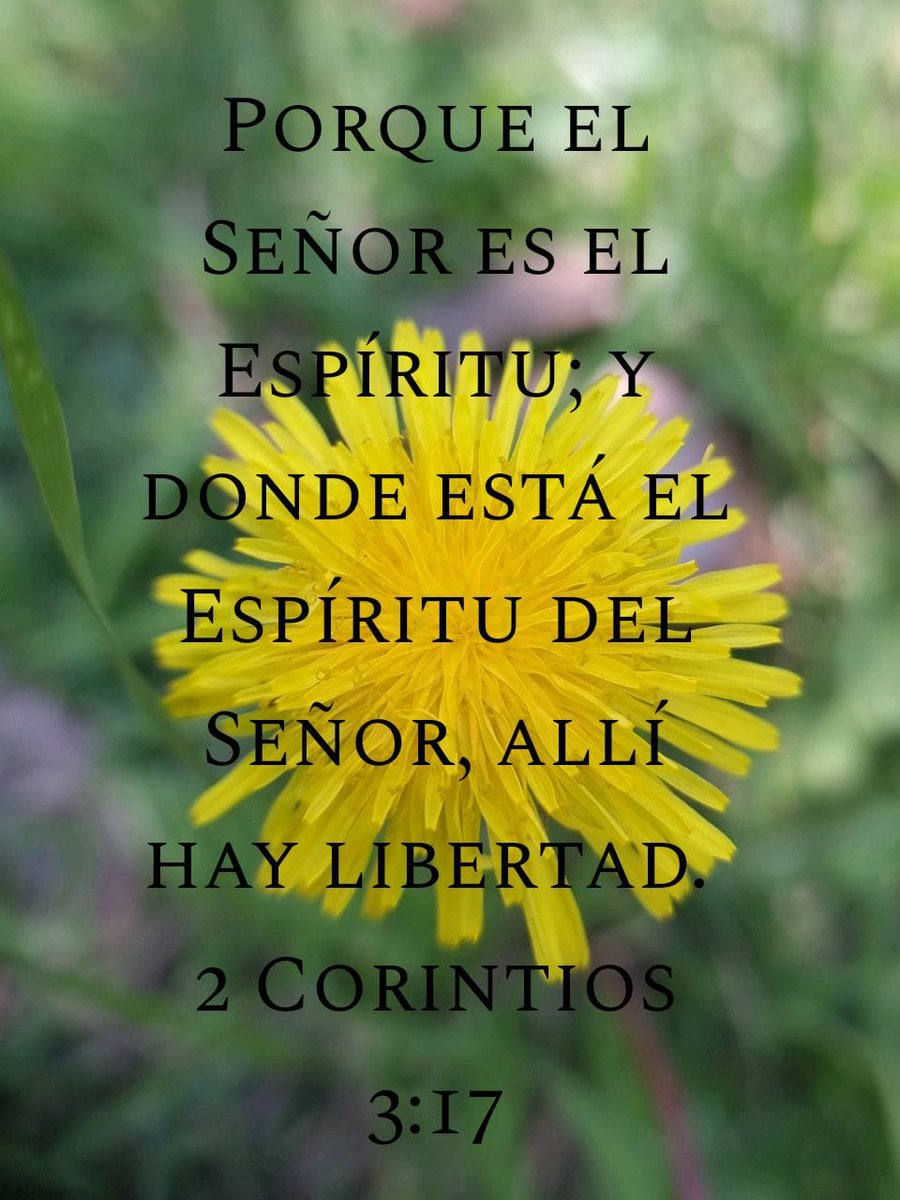 AbelGuz94795968's tweet photo. Dios nos da libertad debemos buscar de el.
#PalabradeDios
#Biblia
#frases
#PHOTOS
#amoaDios https://t.co/8zRbXZvqvg