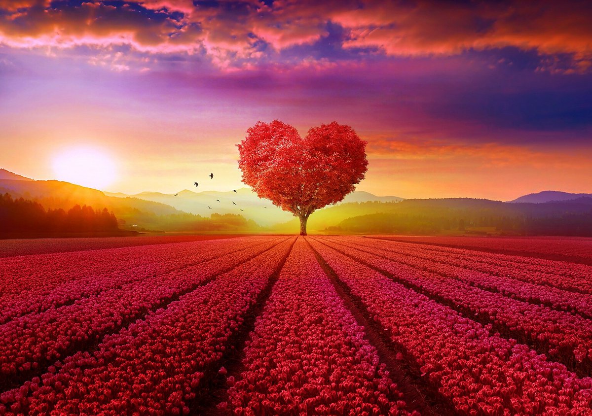 The Noble Quran & The Book Of Genesis 🧶 https://t.co/R03RB4fmCP