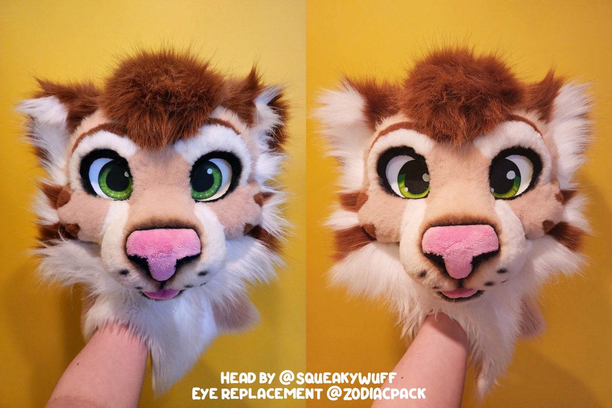 ZODIACpack's tweet photo. Eye updates for a sweet little tiger! 💚
(Left is old, Right is new)

Beautiful head made by @/SqueakyWuff ✂️ https://t.co/X63gAOXJ5t