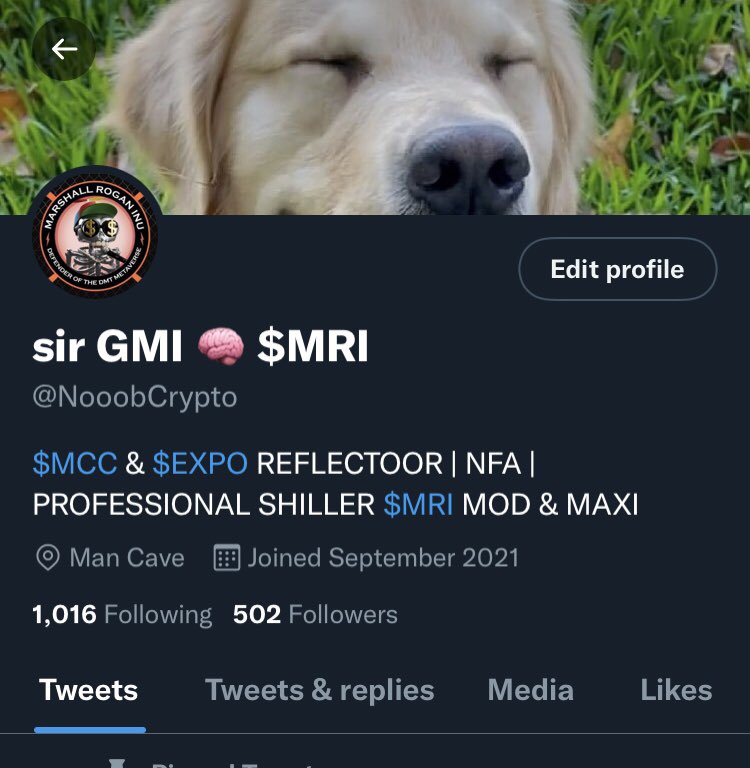 gmi tweet media