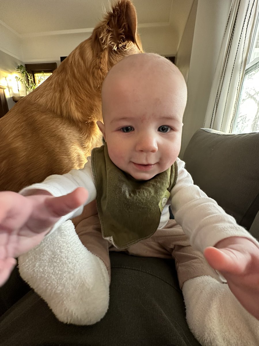 pov: you’re being attacked by a vicious monster