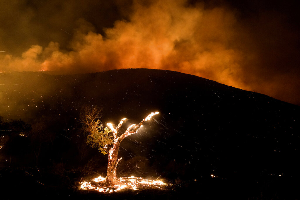 ElHorizontemx's tweet photo. #2022enFotos | Migrantes esperan, familiares y amigos lloran por víctimas encerradas en un tráiler abandonado en Estados Unidos, un incendio forestal en California y un hombre corre tras un ataque ruso en Ucrania. #ParteUno Fotos: AP https://t.co/YY8599cjN6