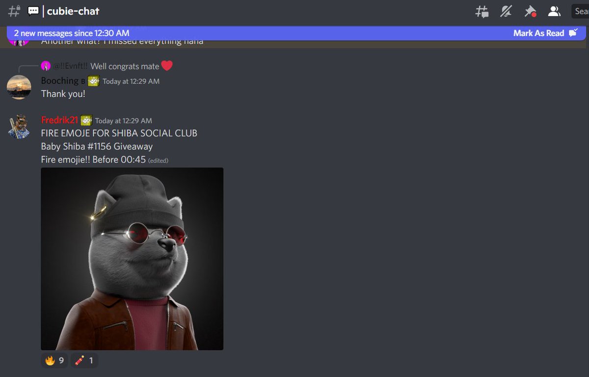 NFTKaspero's tweet photo. Baby shiba giveaway in Cubex chat!
@Shibaclubnft @cubexnft https://t.co/890jQbEN7m