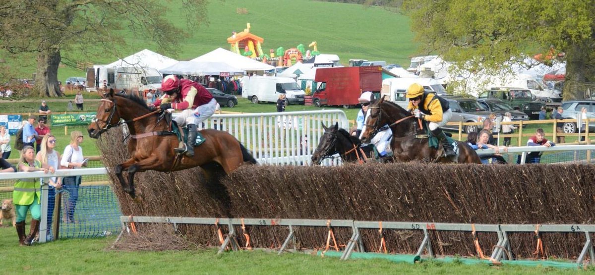 DME_dwards's tweet photo. @uptonviva Here learning how to do it in a UK point to point! #GoPointing https://t.co/2WP0xN8d3p