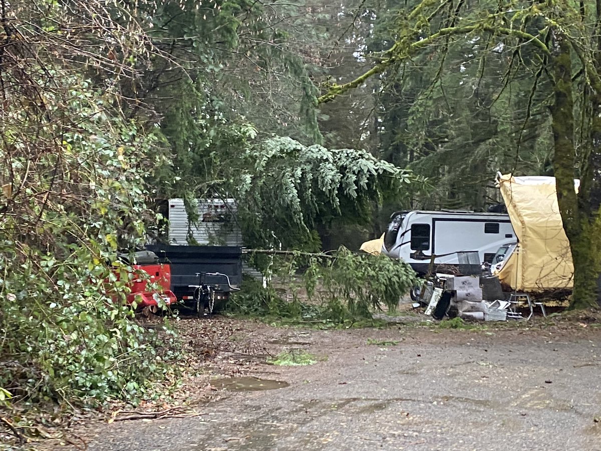 Tyler Mode tweet media