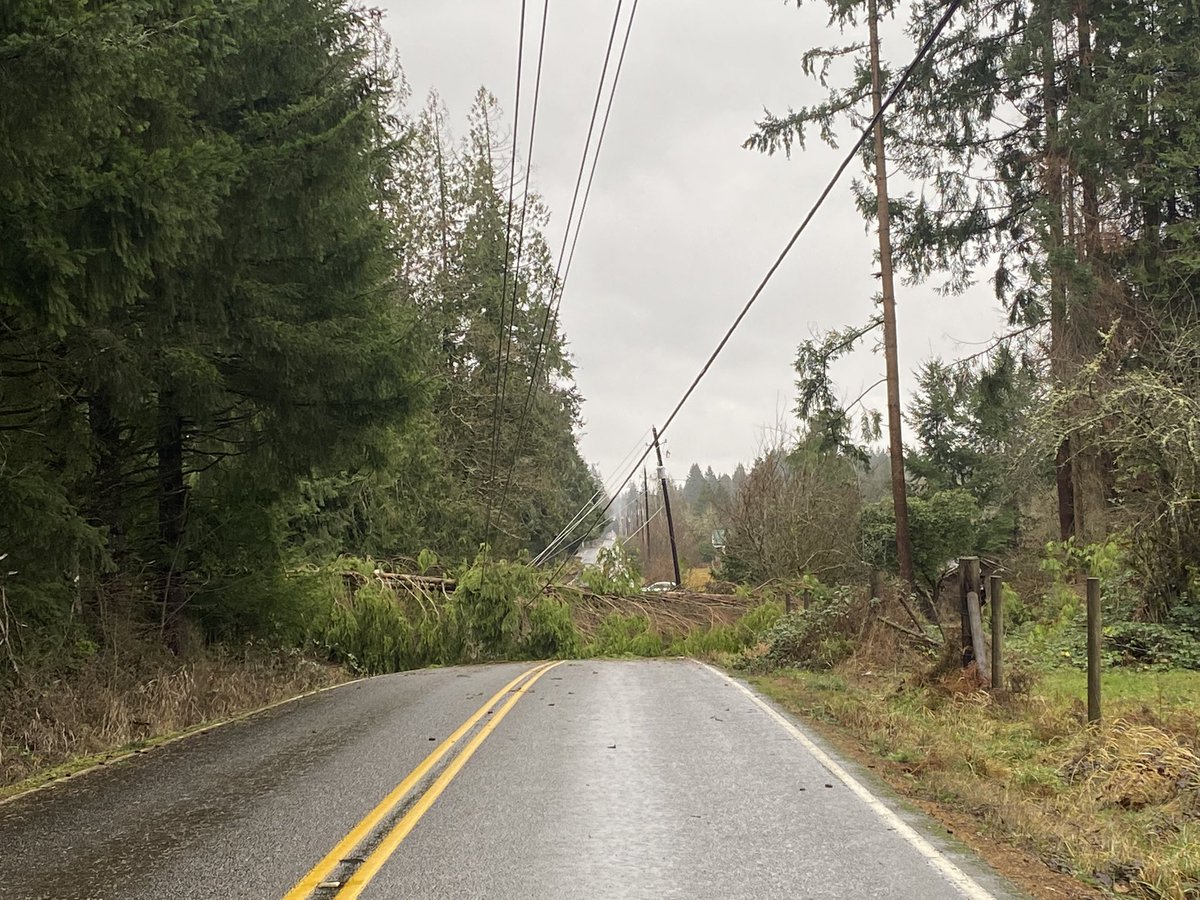 Tyler Mode tweet media