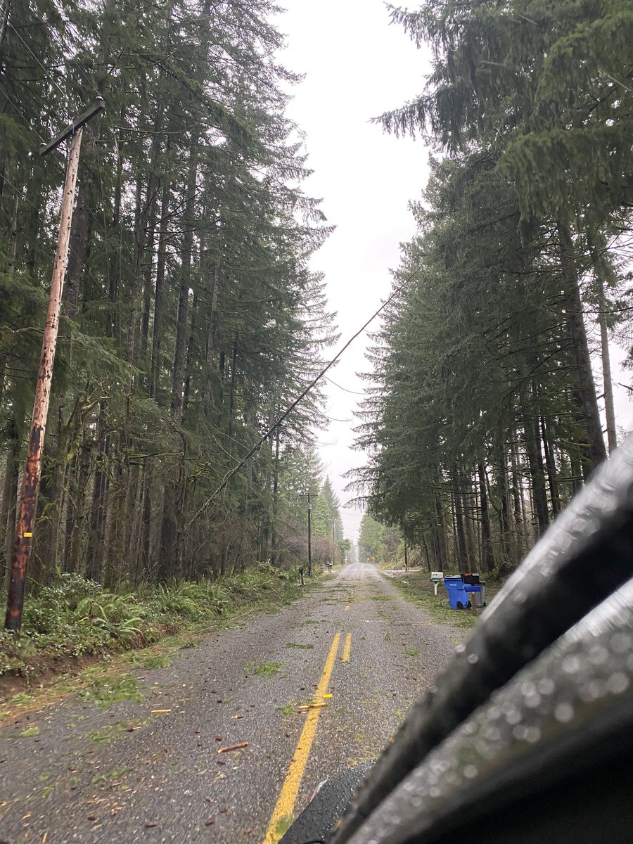 Tyler Mode tweet media