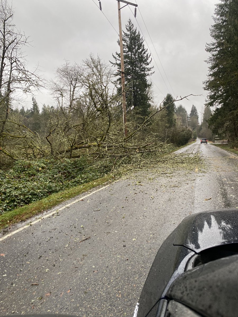 Tyler Mode tweet media