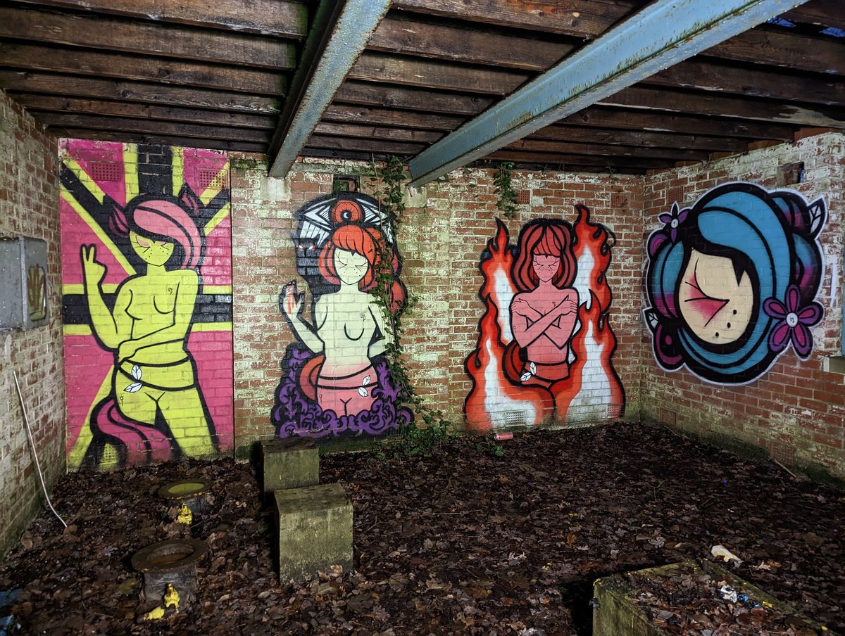 scrappynw's tweet photo. A phone shot of the newer pieces up near #sheffield #yorkshire by the very talented @coloquix . 

Over the years I've seen many of his #girls dotted about and even have one on the my van! as well as being part of the last humans project. #streetart #art #graffiti #coloquix https://t.co/hYhdLm9yyJ