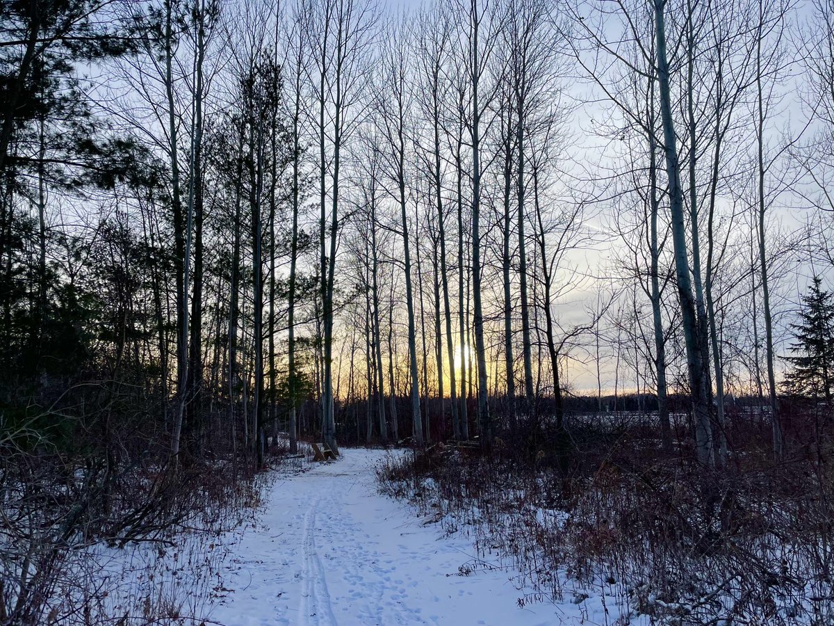 runswstilettos's tweet photo. Cold sunset. #nature #hiking #sunset #weather #winter #trees #woods #forest #outdoors #teflection #solitude #serenity @treesgroup @WDNR @LindseySlaterTV @Mark_Baden https://t.co/jJ1H9MACwv