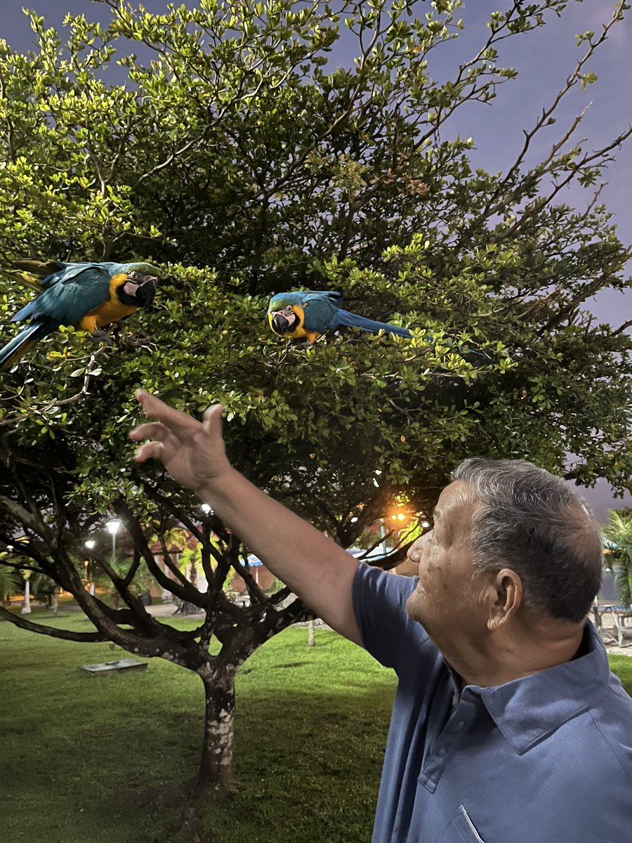 Paíto, mi abuelo, está cumpliendo hoy 83 años ¡y pude estar con él! Esta foto se la tomé en la tarde ☺️