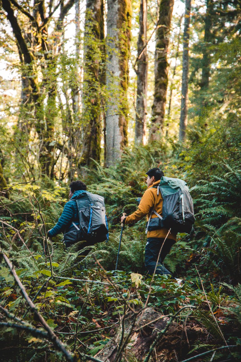 GossamerGear's tweet photo. Taking some time for yourself as the end of the year approaches is important. And what's a better way to do so than taking your fresh new gear out for a spin! 

#takelessdomore https://t.co/3GQa3PvYe4