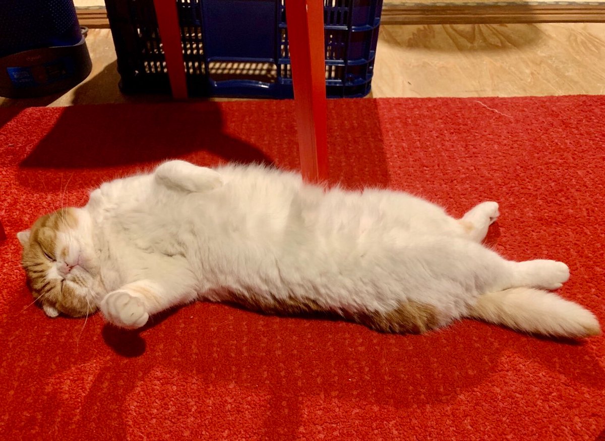 aktrbb's tweet image. 