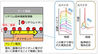 wpi_mana's tweet photo. 【News】
Takashi Tsuchiya, Principal Researcher and Kazuya Terabe, MANA Principal Investigator Appear in Media
https://t.co/mvzKtJMmff https://t.co/YthWeFJZEx