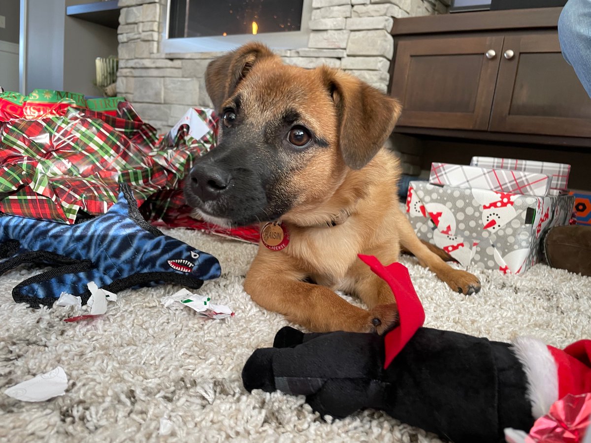 schirmks's tweet photo. Son appreciation post 🖤🖤🖤 https://t.co/mGXcFZUEni