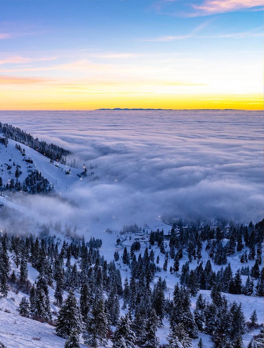 This Is Boise tweet media