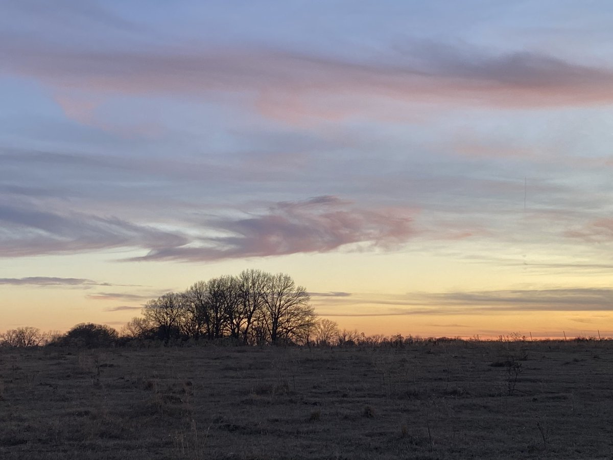 Disciple275's tweet image. From 2 nights ago. Thankful the polar vortex has come and gone around here. Still praying for and thinking about those in the north that are still trying to dig out and dealing with the harsh, cold temperatures.