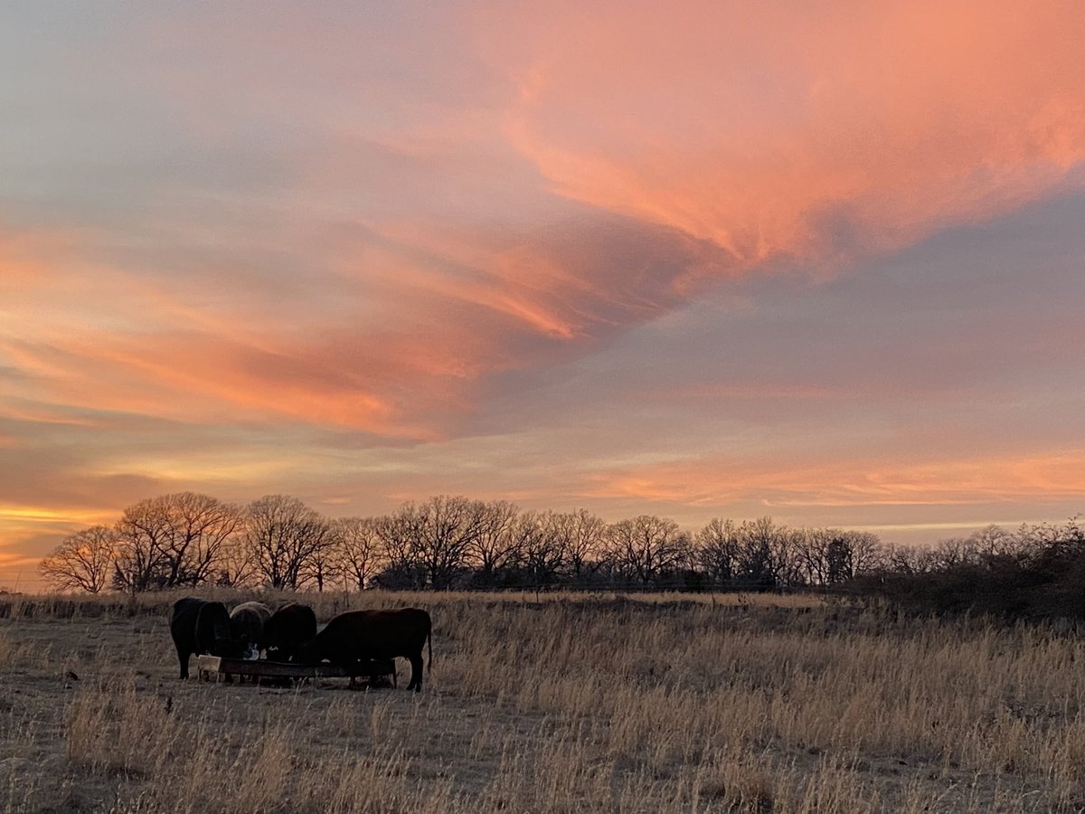 Disciple275's tweet image. From 2 nights ago. Thankful the polar vortex has come and gone around here. Still praying for and thinking about those in the north that are still trying to dig out and dealing with the harsh, cold temperatures.