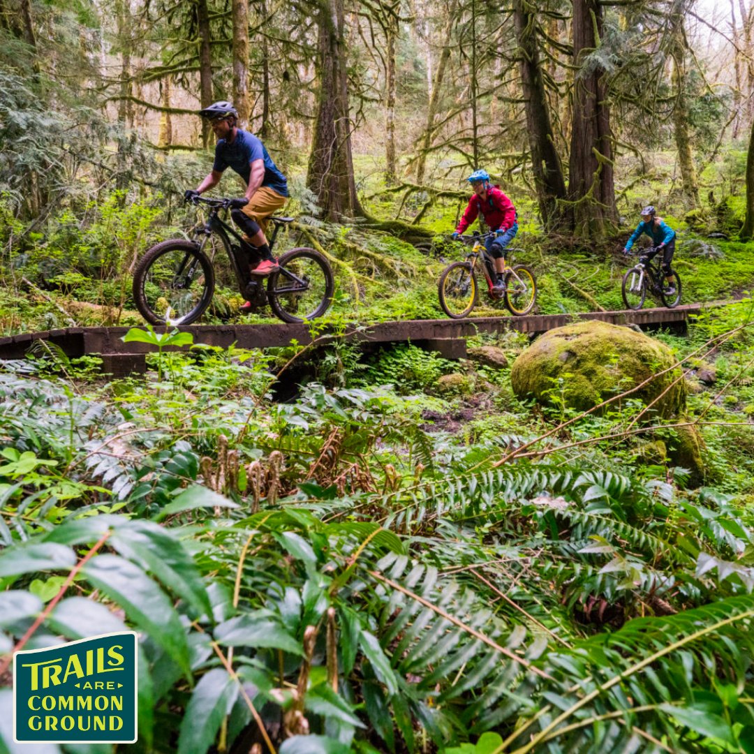 sdmba's tweet photo. 🚵 eMTB Hub | Trails Are Common Ground
A resource to help you have the best possible mountain biking experience.
🔋 Check out the e-MTB Hub: https://t.co/JkZKFYWbFo
⚒️ Trail Courtesy Pledge: https://t.co/QhwzoIi5fn
@IMBA_US
#SDMBA #TrailsAreCommonGround #eMTB #eBike #MTB https://t.co/2DdaEyr2S2