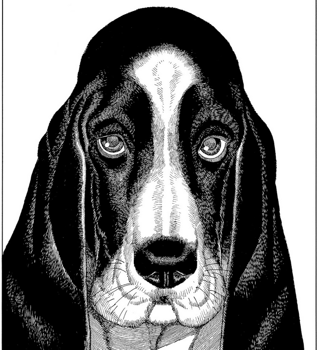 just read Seraphim 26661336 wings. sad there isn't more of it 