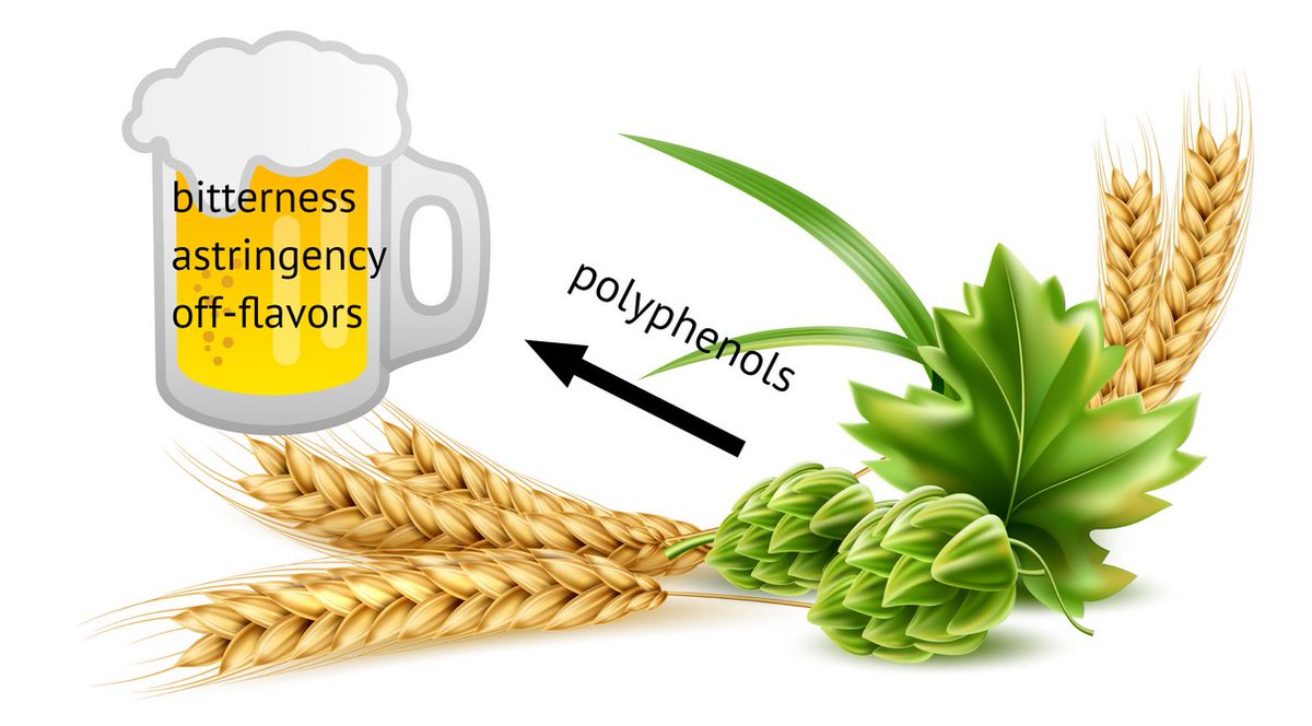 LifesciMdpi's tweet photo. 🧐A paper from #Beverages @Beverages_MDPI
📢"#Beer #Polyphenols—#Bitterness, #Astringency, and Off-Flavors" from Kristina Habschied et al.
👉View full text at https://t.co/aFydG8Mrk3 https://t.co/gcrB3hEeix