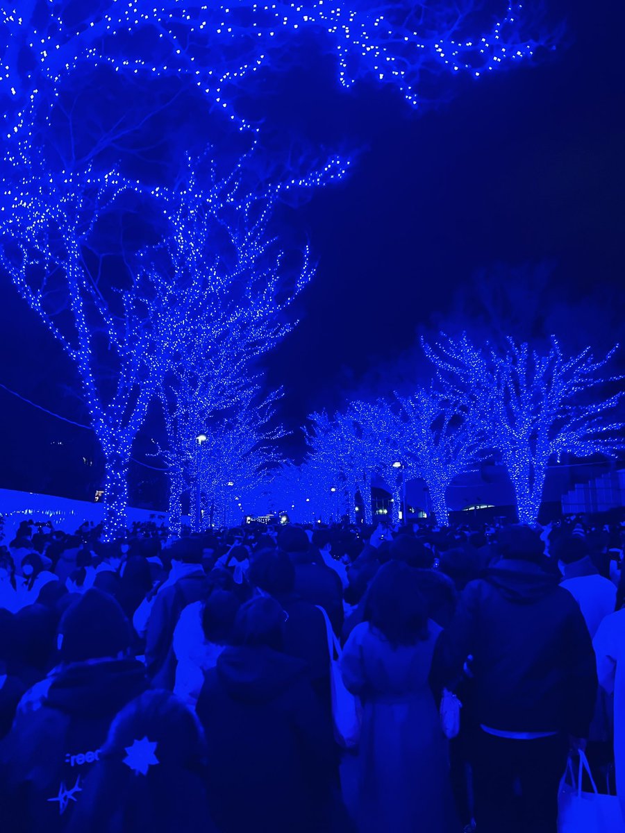 Cip_pad's tweet photo. クリスマスは青の洞窟行ってきた🎅
人いすぎて疲れたわ😵‍💫 https://t.co/Ogx11m2euz