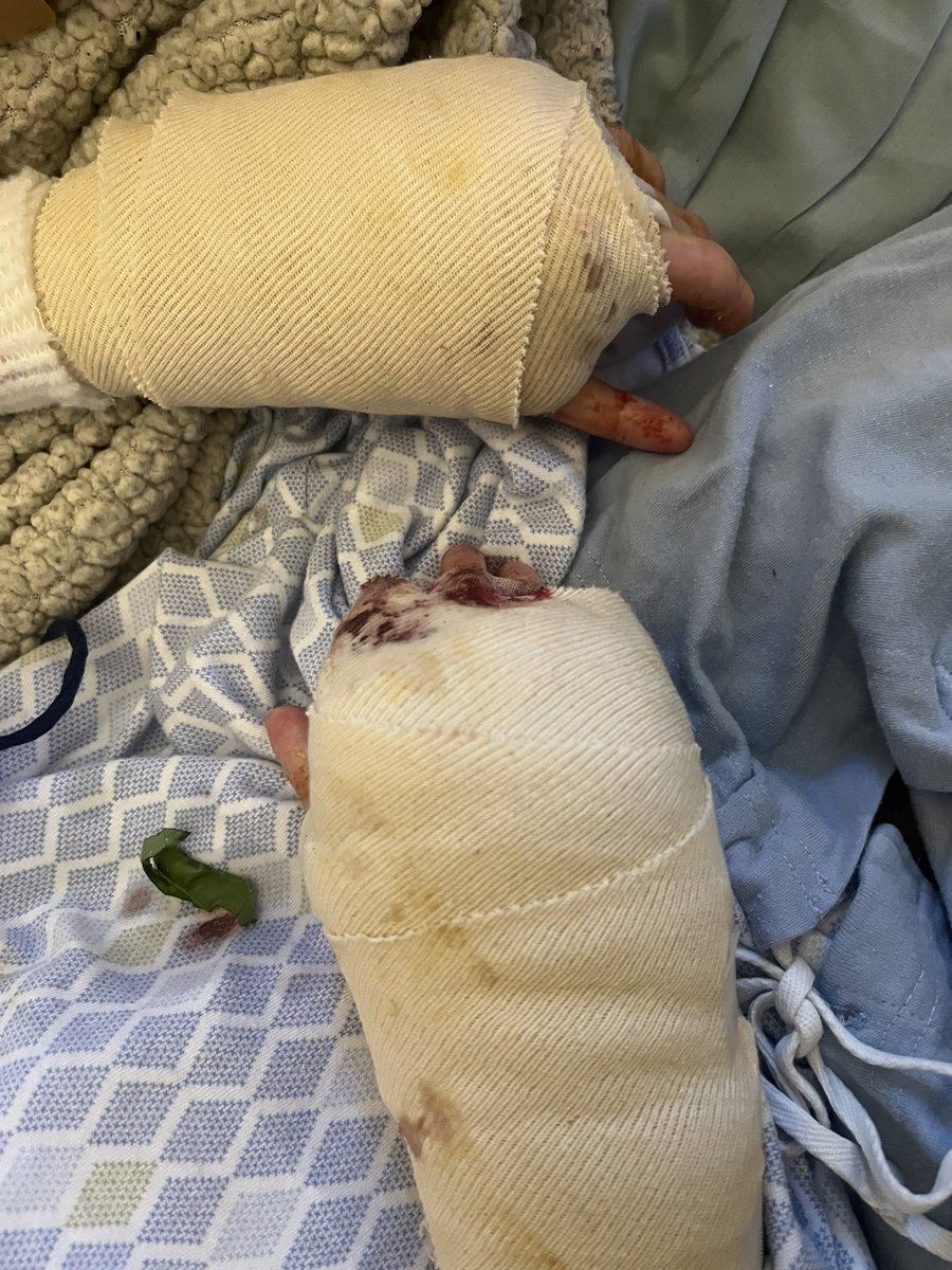 DIG Shot tweet media