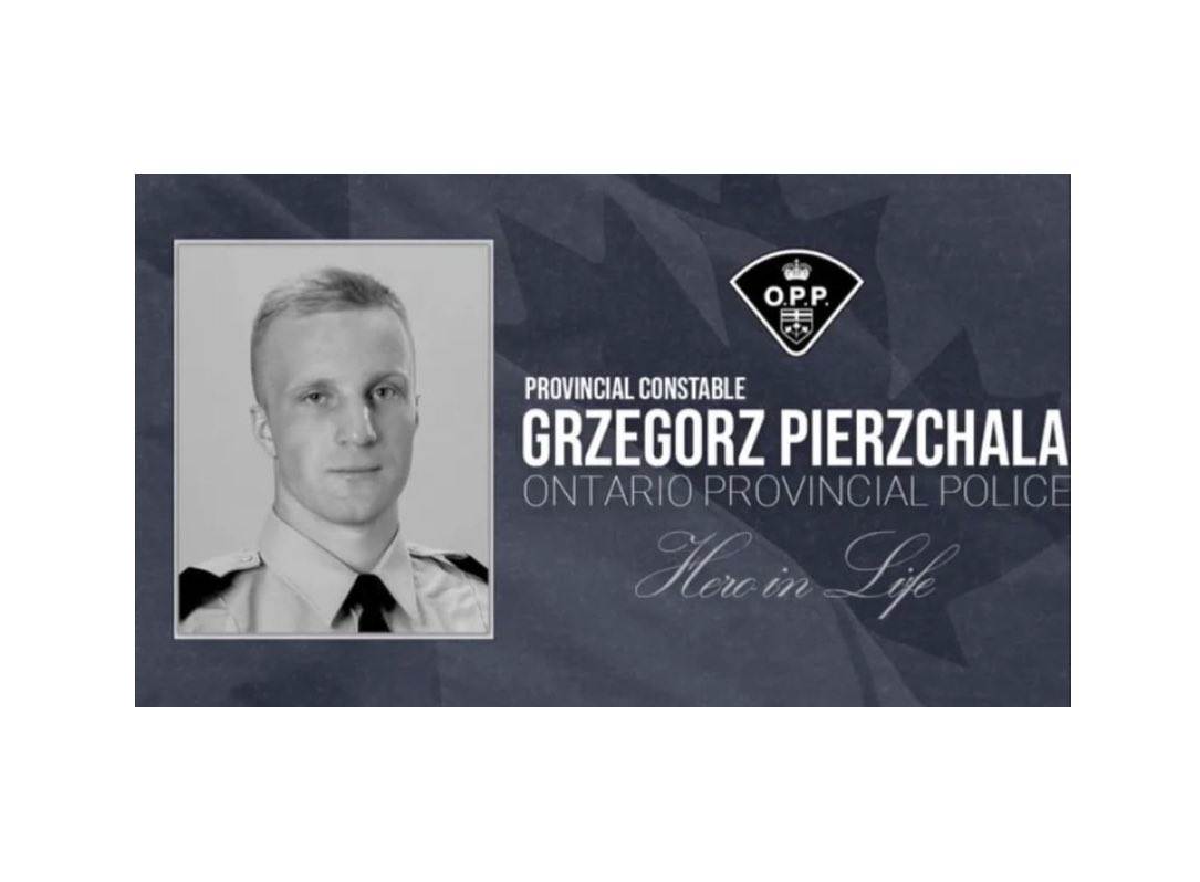 Marty Kirwan tweet media