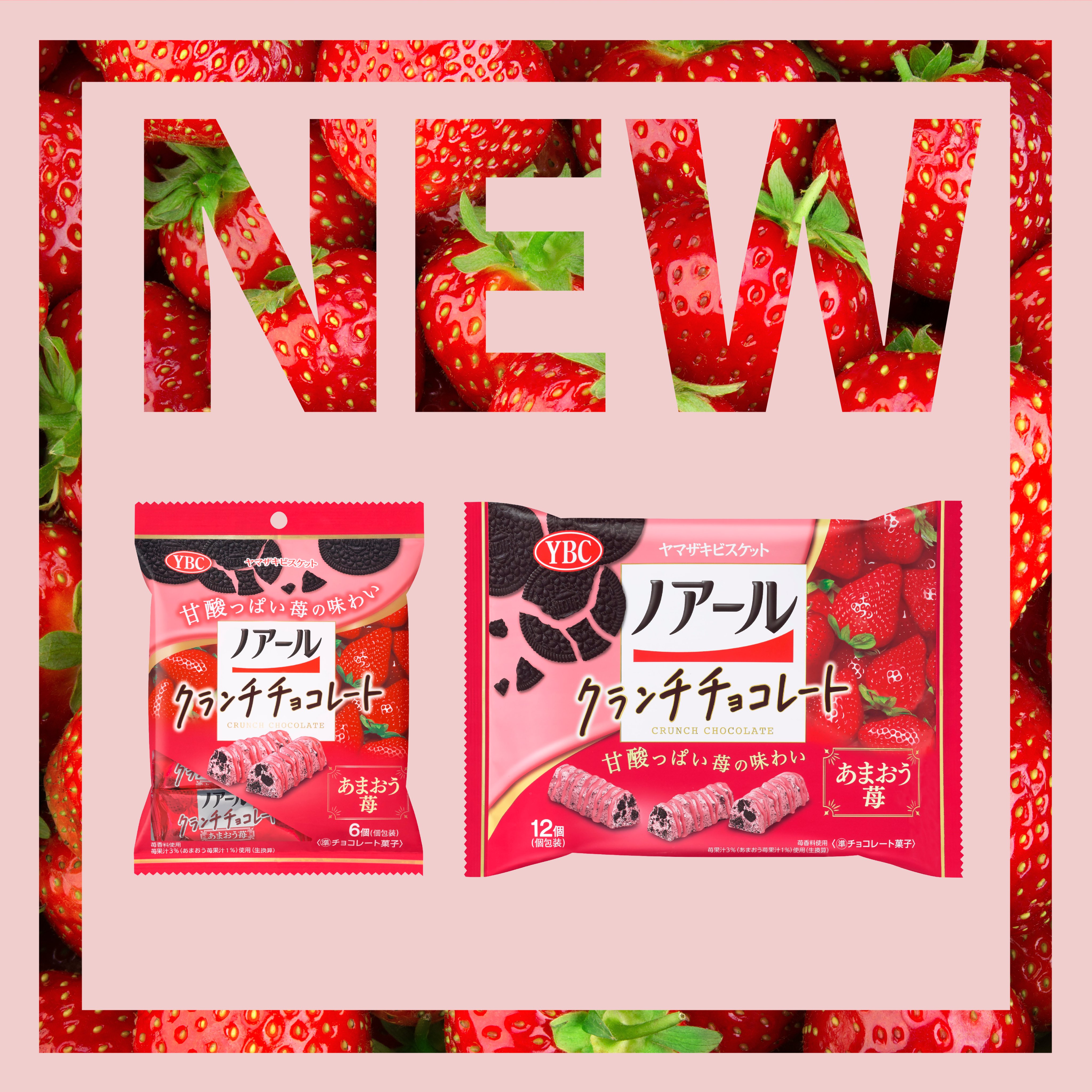 【ゆうすけさん専用】NUTS × 802PRODUCTS BRIESTA 山桜 フルーツバスケット 梅肉エキス飴 80g ｜くらすこと オンライン