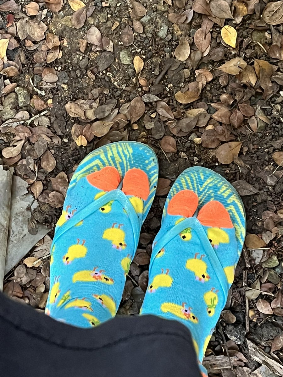 thebuniongal's tweet photo. I never show you my socks 🐥

#socksfetish #sockslovers https://t.co/8zDgkGcz6C
