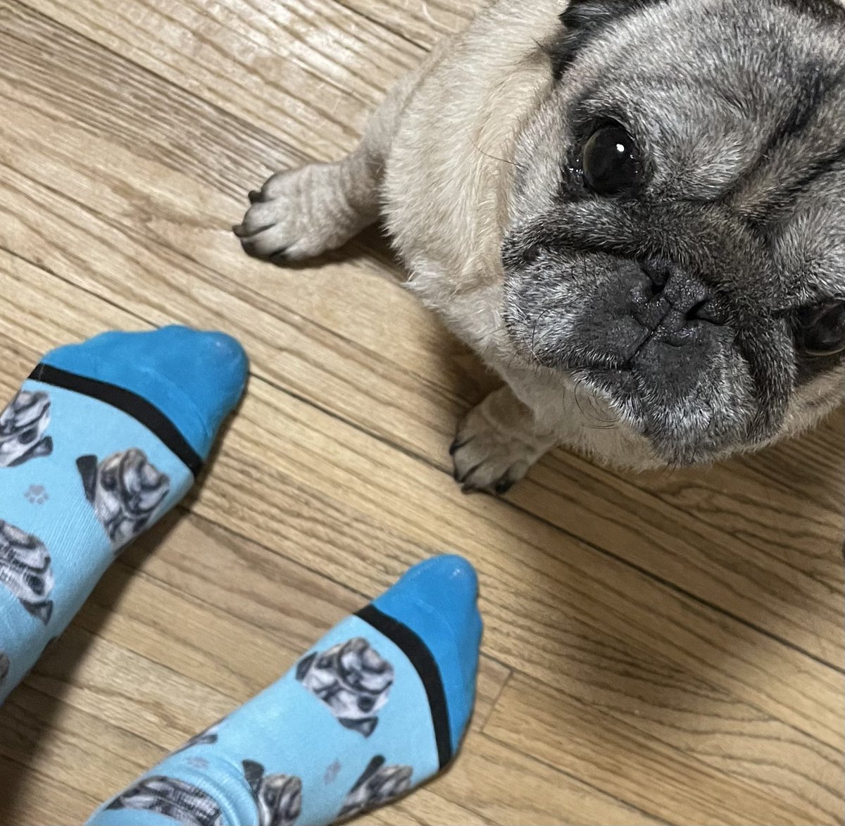 Shawn Finch tweet media