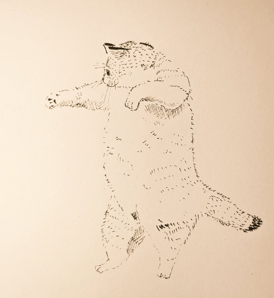 100grd's tweet image. カンフー