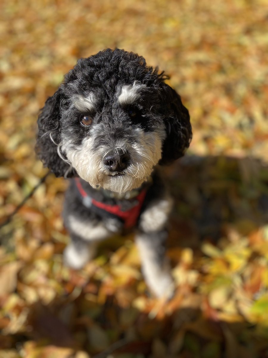 Mike Holle tweet media