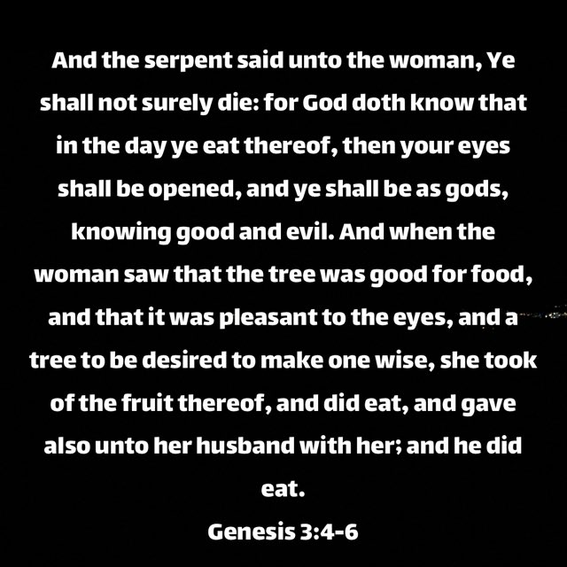 PossDoug's tweet photo. @DrShayPhD @ShayM_PhD Ch12 What to Do with Doubt Many…are at times troubled with the suggestions of skepticism. There are in the Bible many things which they cannot explain, or even understand, and
Satan employs these to shake their faith in the Scriptures as a revelation from God… https://t.co/fPG5nHRi2q