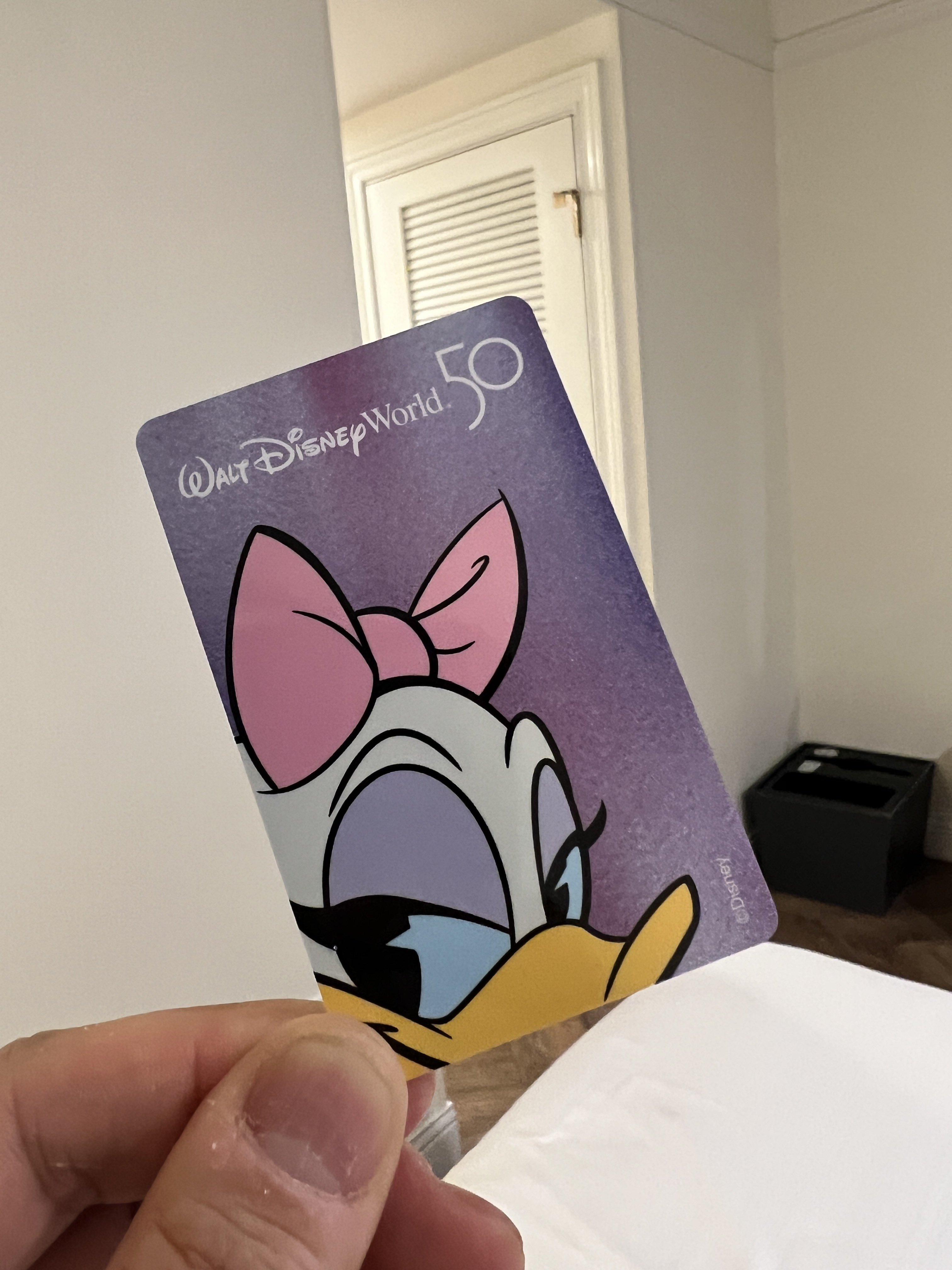 海外ディズニー スピリットジャージー WDW エプコット 40th 新品