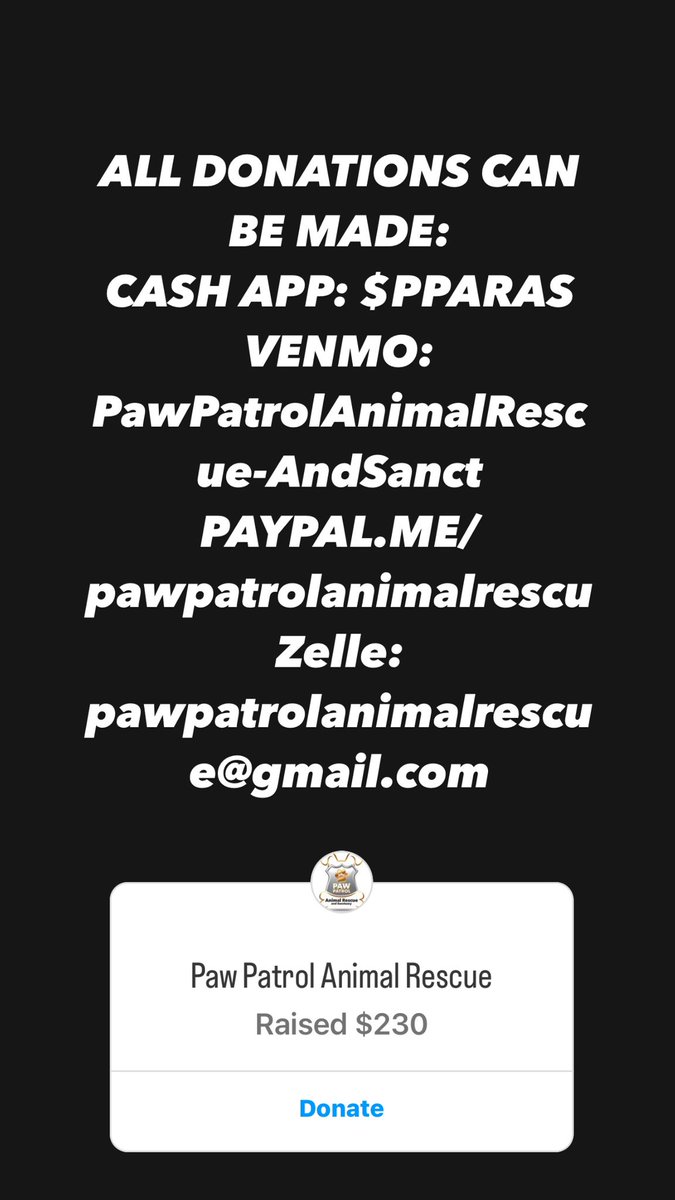 PPARASfla's tweet photo. Please do what you can. He is currently at our emergency vet 🙏🏻 @PPARASfla https://t.co/IaVay43fPI