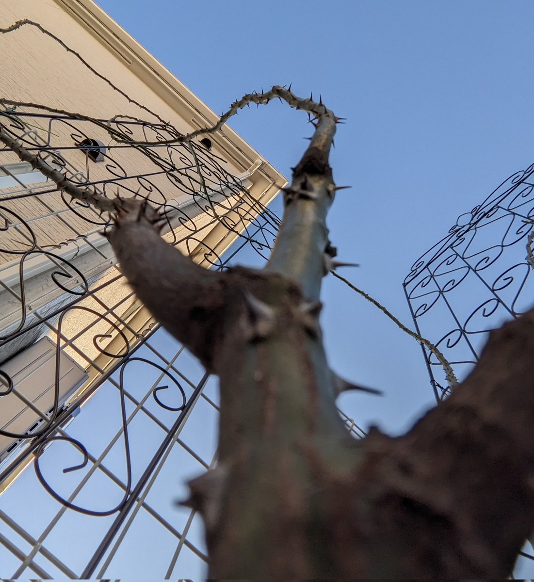 no humans sky blue sky outdoors day barbed wire blurry  illustration images