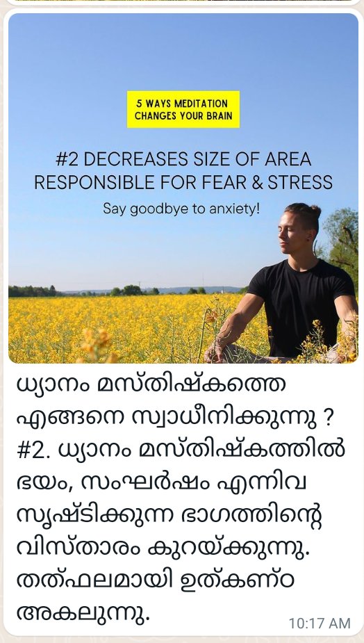 praslals's tweet photo. Meditation &amp; Brain#2. https://t.co/vifYeBT2Pq