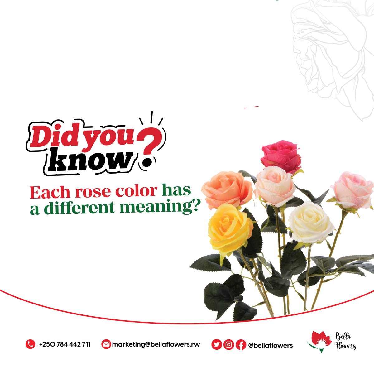 BellaFlowersRw's tweet photo. Giving someone flowers is never just a gift; every flower has its meaning!

Comment below with your favourite rose and we’ll let you know what it means!

#bellaflowers #bellaroses
#roseworld #rosefacts https://t.co/3awKayYiNl