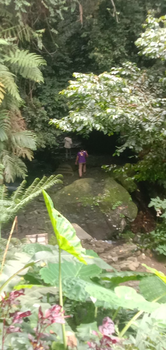 Papahmu2's tweet photo. Srambang Park Ngawi https://t.co/KJj03QrGR4
