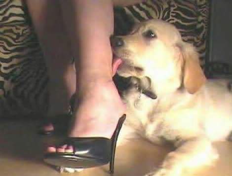 رجال وشنب وله هيبه عند جماعته وربعه 
وتحتي يصير كلب اليف مطيع #كلب #عمه #معصيتي_رlحتي